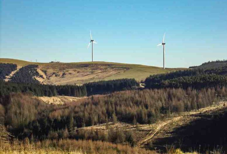 Strategien zur Stabilisierung der deutschen Wirtschaft