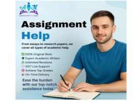 The Guided Approach to Assignment Help Services
