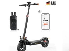 Wie viel kostet ein E-Scooter in Deutschland?