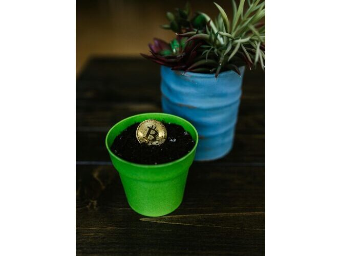 Die spannendsten Eco-Blockchains 2026