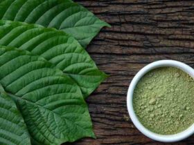 Kratom in Südostasien