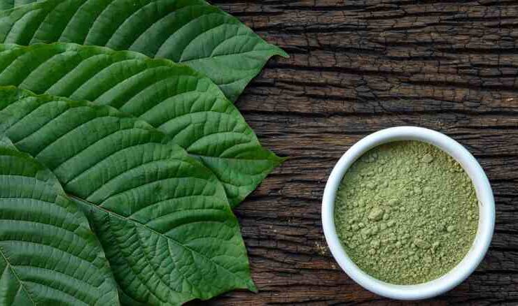 Kratom in Südostasien