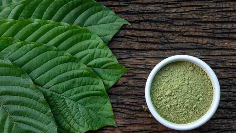 Kratom in Südostasien